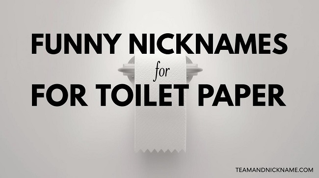 350 Hilarious Nicknames for Toilet Paper You'll Actually Use