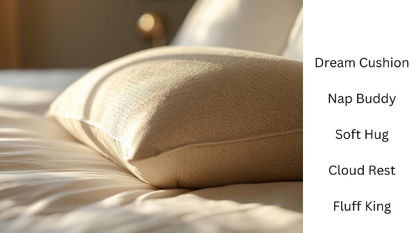 Personified Nicknames for Pillows