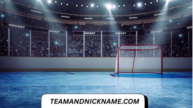 200+ Best Chicago Blackhawks Fan Nicknames