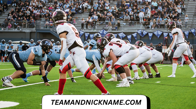 200+ Best Nicknames for Loyal Georgia Football Fans
