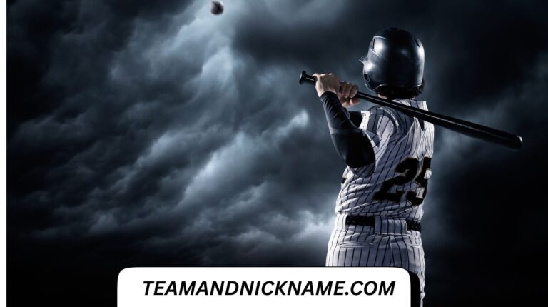 200+ Perfect Florida Baseball Fan Nicknames